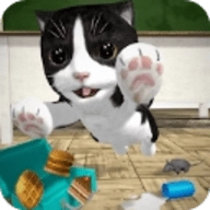 猫咪模拟器