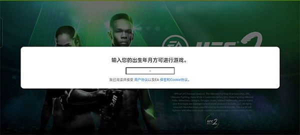 UFC终极格斗冠军2