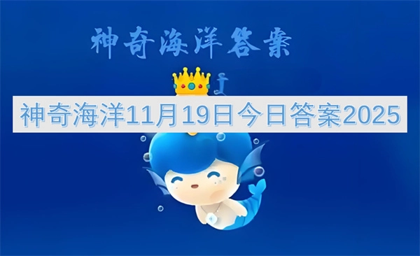 11月19日神奇海洋今日答案2025
