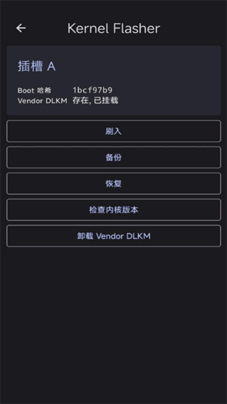 Kernel Flasher截图3