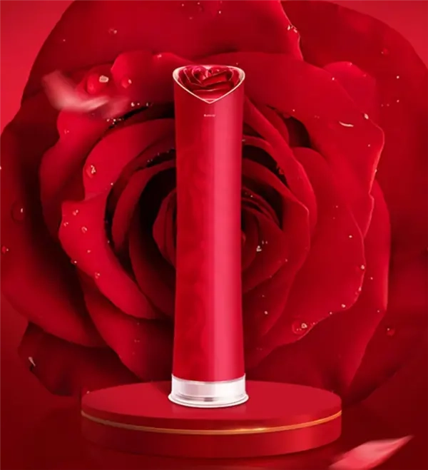 董明珠表示玫瑰空调创下历史纪录，部分酒店的生意因此变得非常好