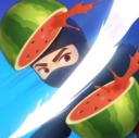 水果忍者2 V2.53.3