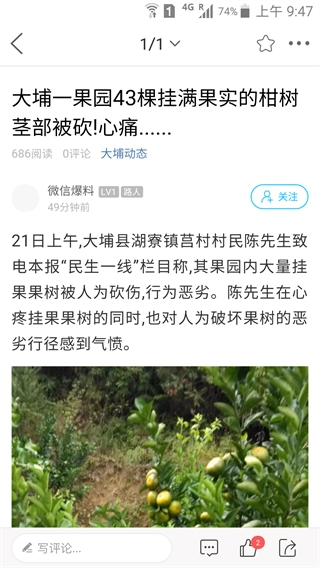 大埔网最新版(4)