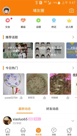 大埔网最新版(1)