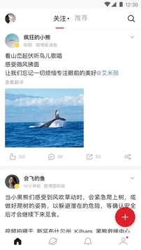 新浪微博国际版(1)