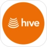 Hive