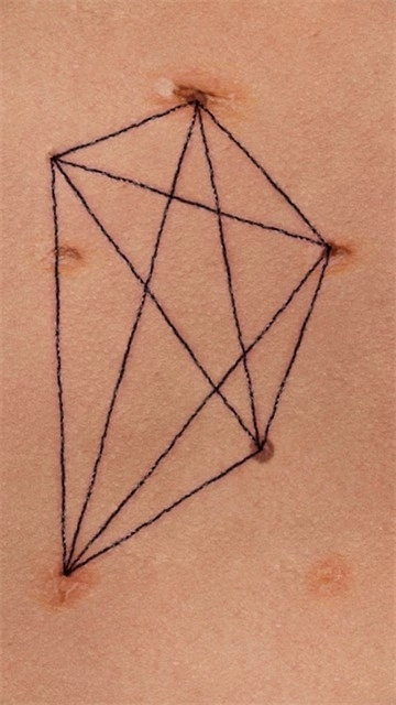 盛开之歌安卓版