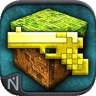 枪的世界中文版