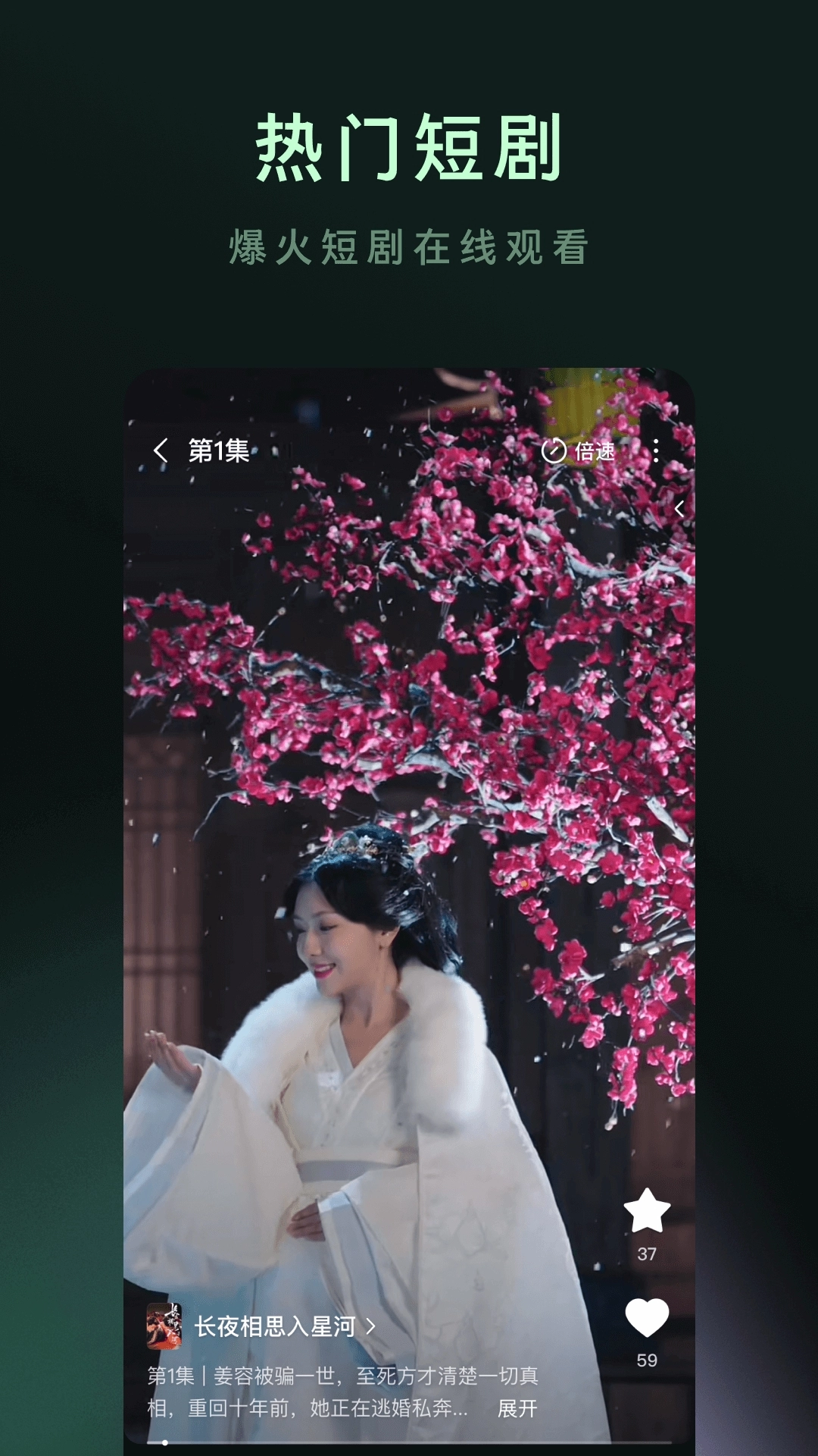 木叶免费短剧截图