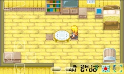 牧场物语女孩版(3)