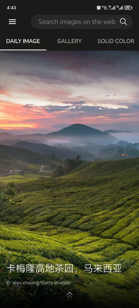 必应壁纸手机版图2