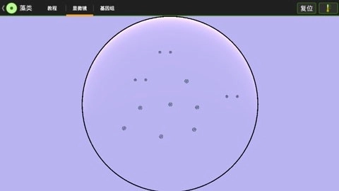 细胞实验室汉化版图1