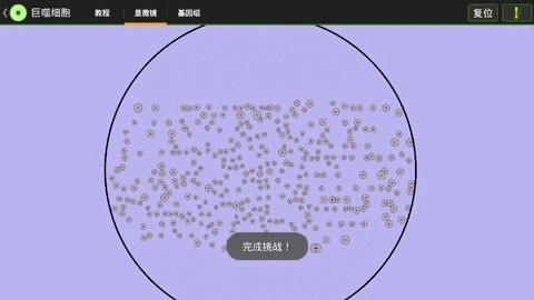 细胞实验室汉化版图5