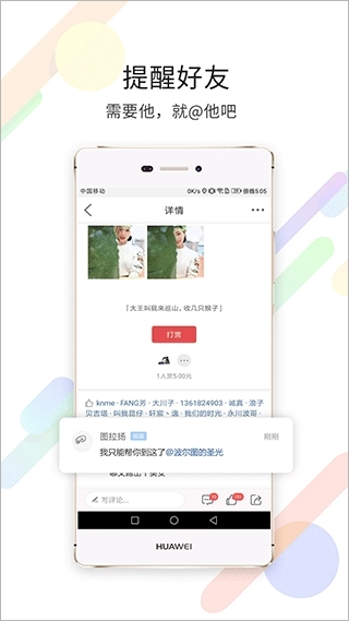 茶竹永川网-图2