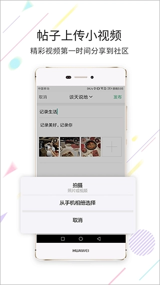 茶竹永川网-图4