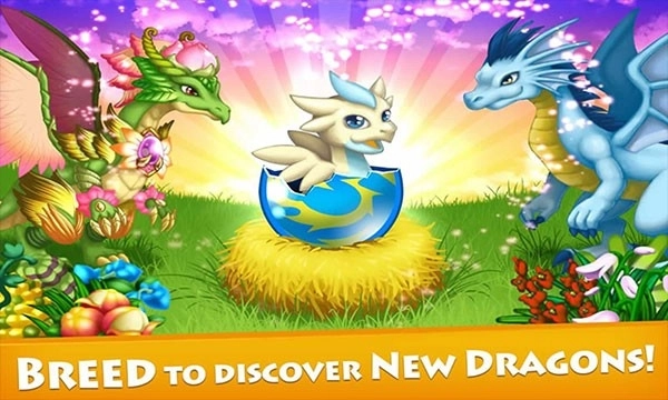 龙之战手机版图1