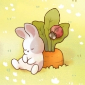 我的舒适生活安卓版