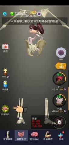 放置人类功能菜单(1)