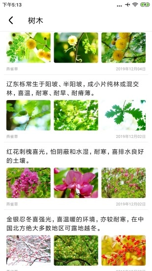 植物百科图2