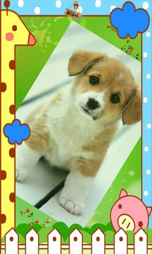 极品电子相册图5