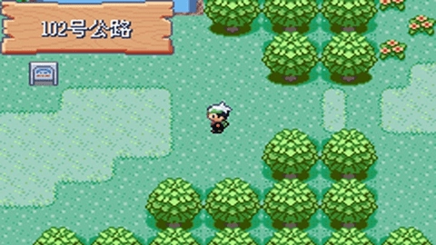 口袋妖怪火红金手指版