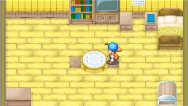 牧场物语矿石镇的伙伴截图4