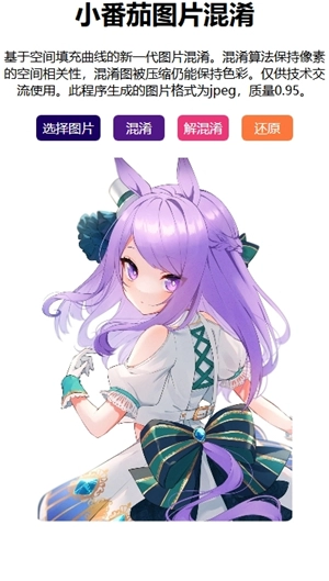 小番茄解图片混淆截图3