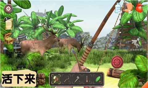 模拟荒岛求生(3)