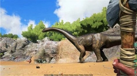 荒岛末日生存(3)