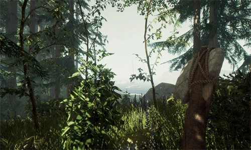 荒岛末日求生(4)