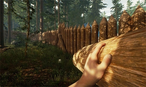 荒岛末日求生(1)