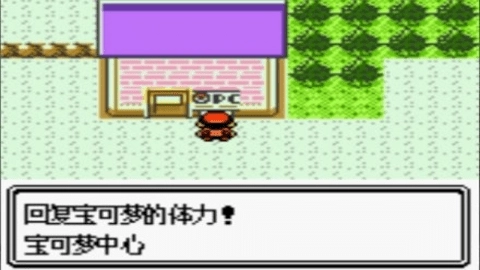 口袋妖怪金银中文版截图2