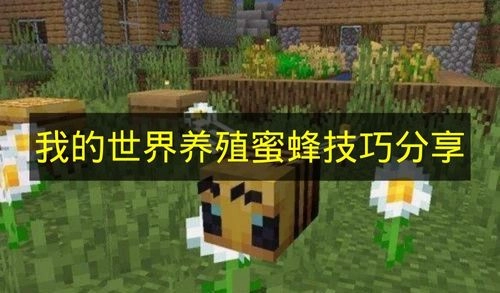 《我的世界》蜜蜂养殖实用技巧分享