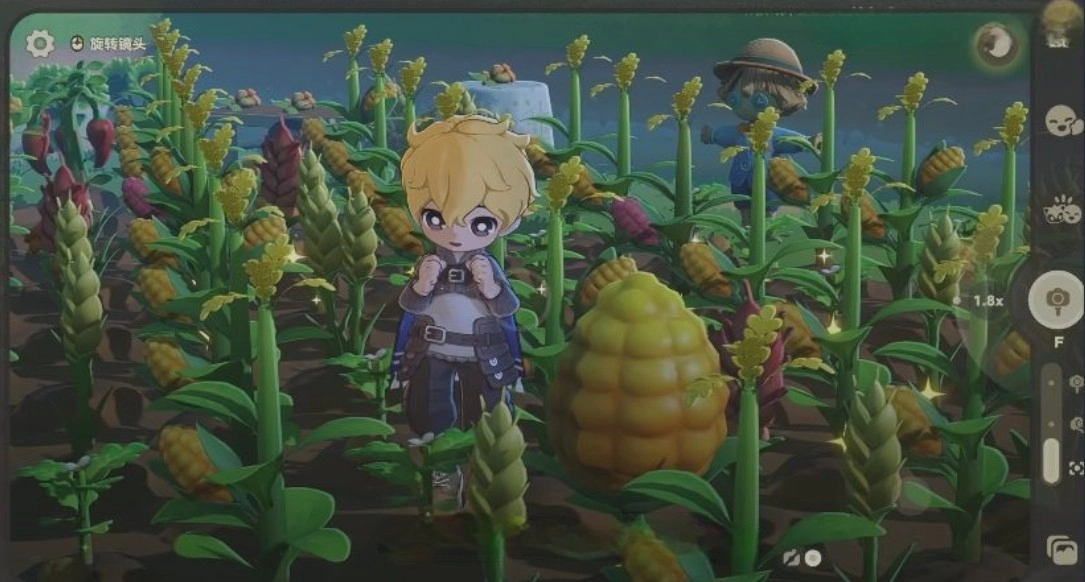 星布谷地变异果实获取秘籍