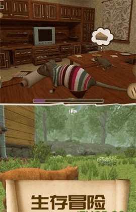 疯狂地鼠城截图2