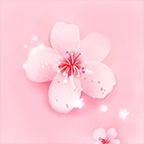 桃花视频免费版