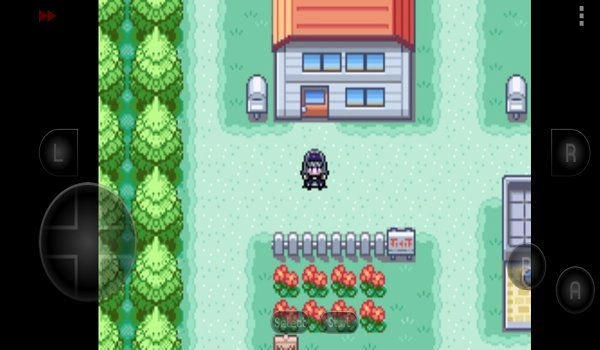 口袋妖怪究极之路图4