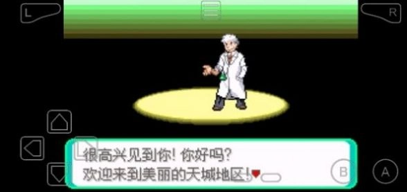 口袋妖怪黑暗之火图2