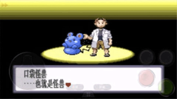 口袋妖怪红宝石中文版图3