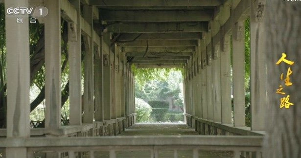 海星TV会员频道密码版(1)