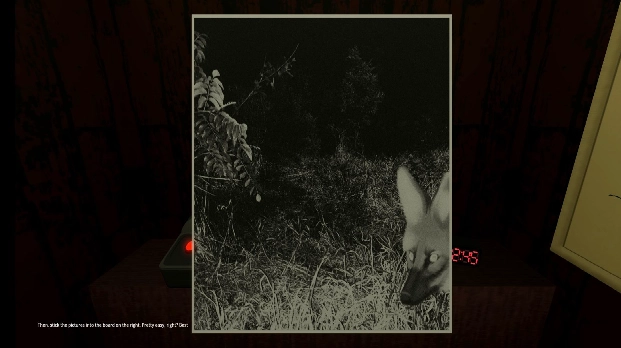 动物观察员pc端移植版图3