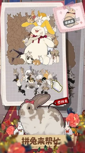 挤在一起的兔兔图3