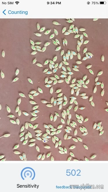 精点相机软件图3