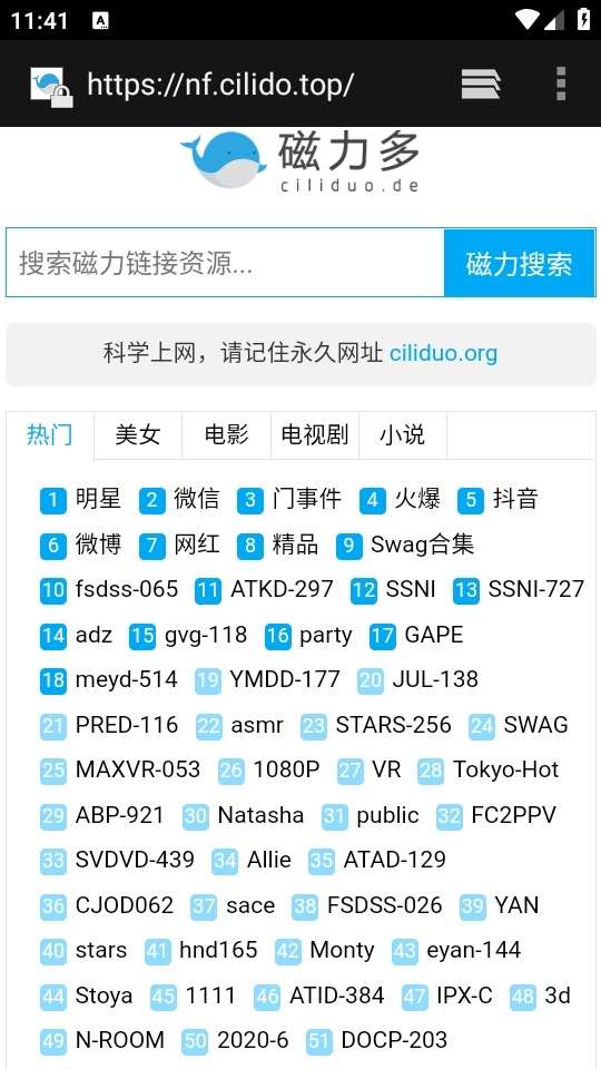 闪电磁力正版图3