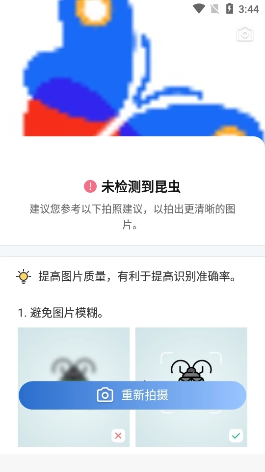 昆虫识别软件免费版图2