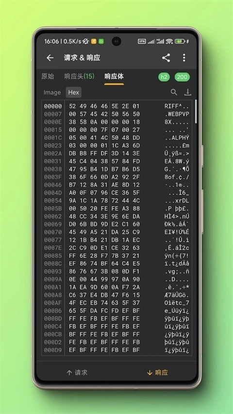黄鸟抓包免费版图4