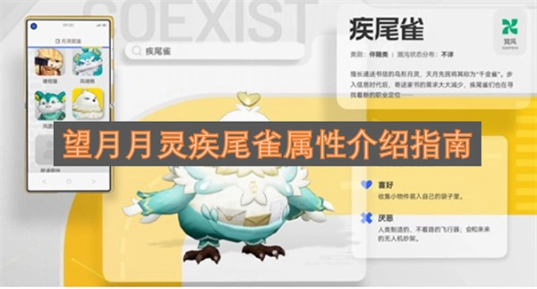 望月灵疾尾雀的属性全面解析指南