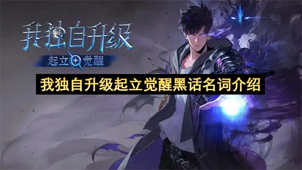 关于《我独自升级》里&ldquo;起立&rdquo;&ldquo;觉醒&rdquo;这类黑话名词的说明