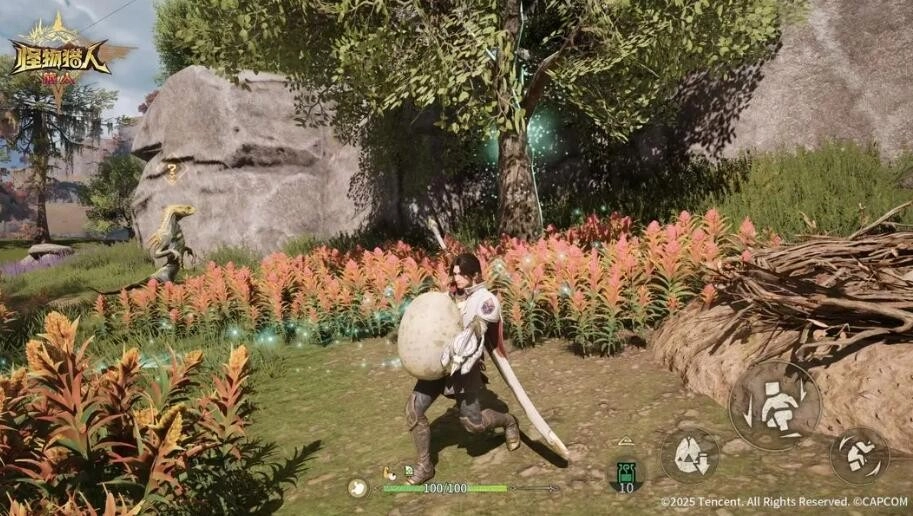 怪物猎人旅人：搬蛋挑战实用攻略