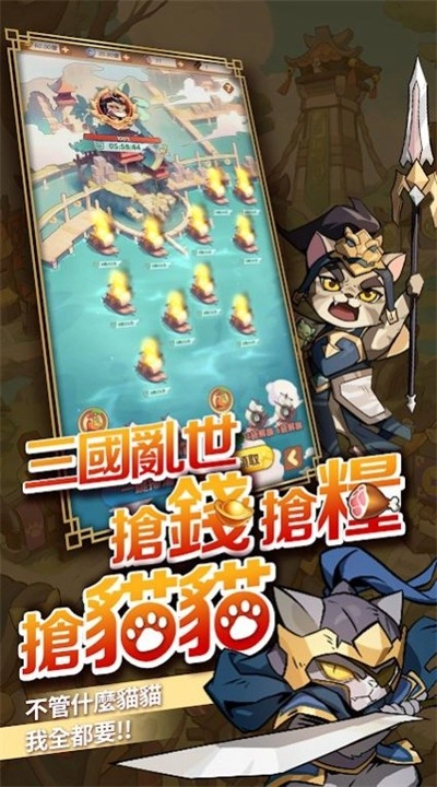 这个猫咪有点强图3